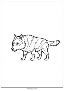 large wolf coloring page in hunting mode 304 1