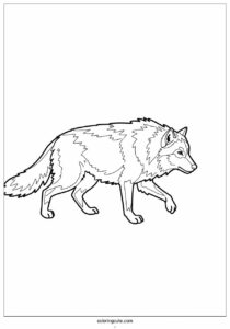 large wolf coloring page in hunting mode 304 3