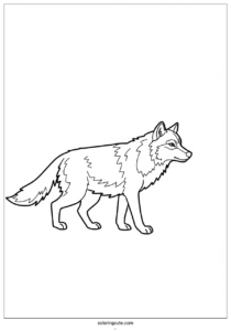 large wolf coloring page in hunting mode 304 4