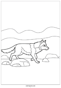 running wolf coloring page in rocky terrain 2
