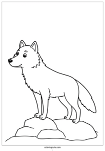 simple wolf coloring page standing on top of rock 2