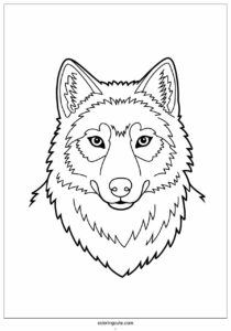 wolf coloring page with furry face for kids 2