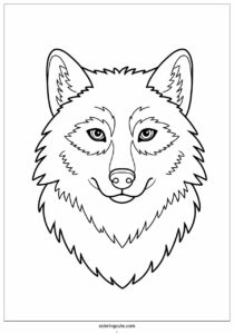 wolf coloring page with furry face for kids 3