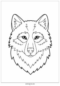 wolf coloring page with furry face for kids 4