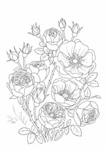 Assorted Wild Roses To Color 1