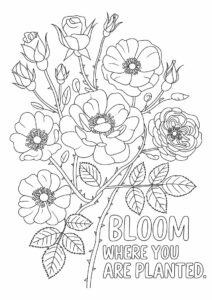 Assorted Wild Roses To Color 4
