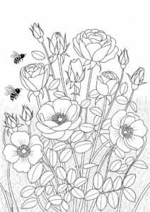 Assorted Wild Roses To Color 6