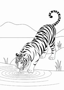 Bengal Tiger Drinking From Lake Coloring 2