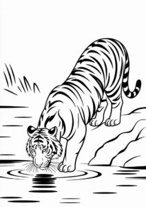 Bengal Tiger Drinking From Lake Coloring 4