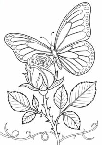 Butterfly Resting On Rose Stem 7