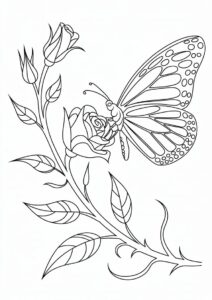 Butterfly Resting On Rose Stem 8