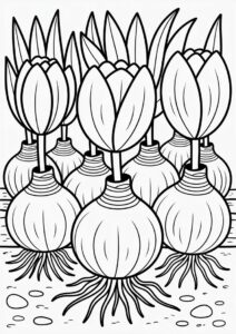 Coloring Sheet Of Large Tulip Bulbs 3