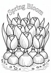 Coloring Sheet Of Large Tulip Bulbs 4
