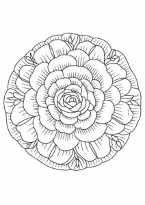 Detailed Rose Mandala For Relaxation 3