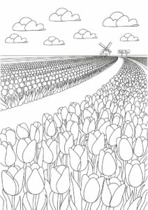 Dutch Tulip Field To Color 1