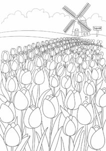 Dutch Tulip Field To Color 4