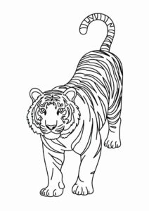 Easy Tiger Outline To Color For Kids 1