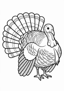 Longe Turkey With Detailed Feathers Coloring Sheet 2