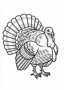 Longe Turkey With Detailed Feathers Coloring Sheet 3