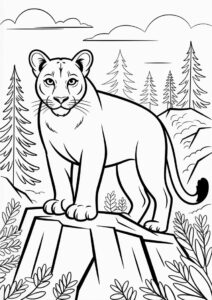 Mountain Lion Coloring Page 1