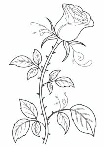 Rose Stem Coloring Sheet 1