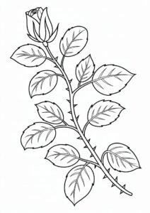 Rose Stem Coloring Sheet 11