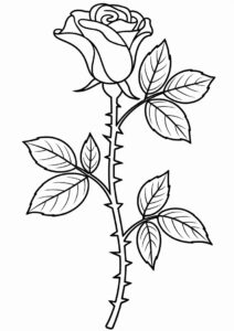 Rose Stem Coloring Sheet 2