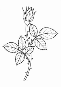 Rose Stem Coloring Sheet 3