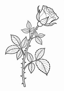 Rose Stem Coloring Sheet 6