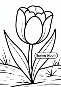 Single Tulip Flower To Color 1