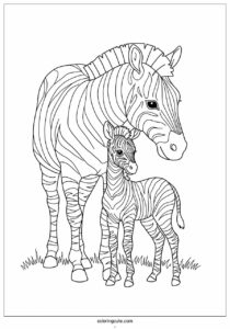 baby zebra being comforted by mother to color 3