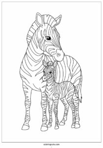 baby zebra being comforted by mother to color 4