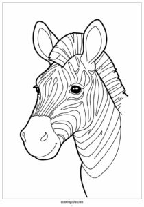 close up of a zebras head to color 1