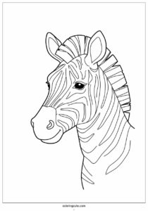 close up of a zebras head to color 2