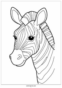 close up of a zebras head to color 3