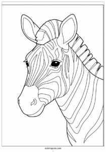 close up of a zebras head to color 4