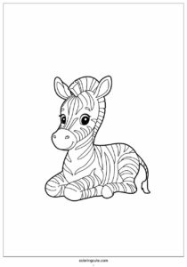 cute baby zebra resting 1