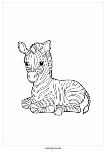 cute baby zebra resting 2