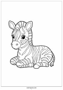 cute baby zebra resting 3