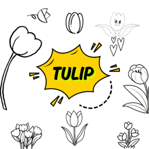 feature image tulip