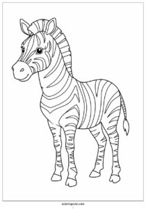 new born zebra with stripes to color 1