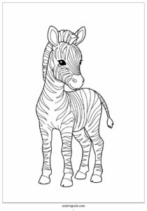 new born zebra with stripes to color 3