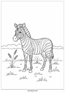 realistic zebra in field coloring page 1