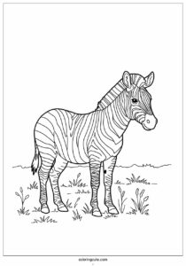 realistic zebra in field coloring page 3