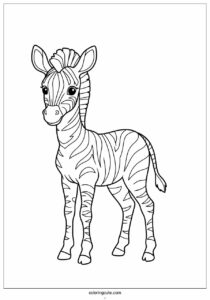 striped baby zebra to color for kids 1