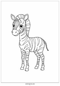 striped baby zebra to color for kids 4
