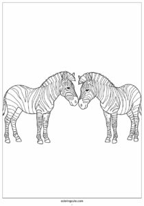 two zebras touching noses to color 2