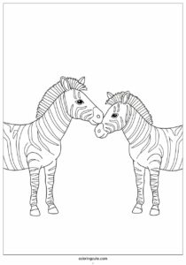 two zebras touching noses to color 4