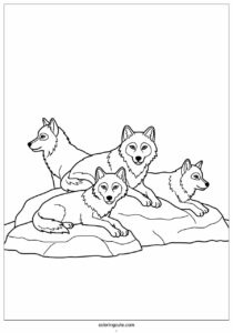 wolf coloring page of pack resting on rock 3