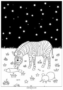zebra eating under the stars to color 1